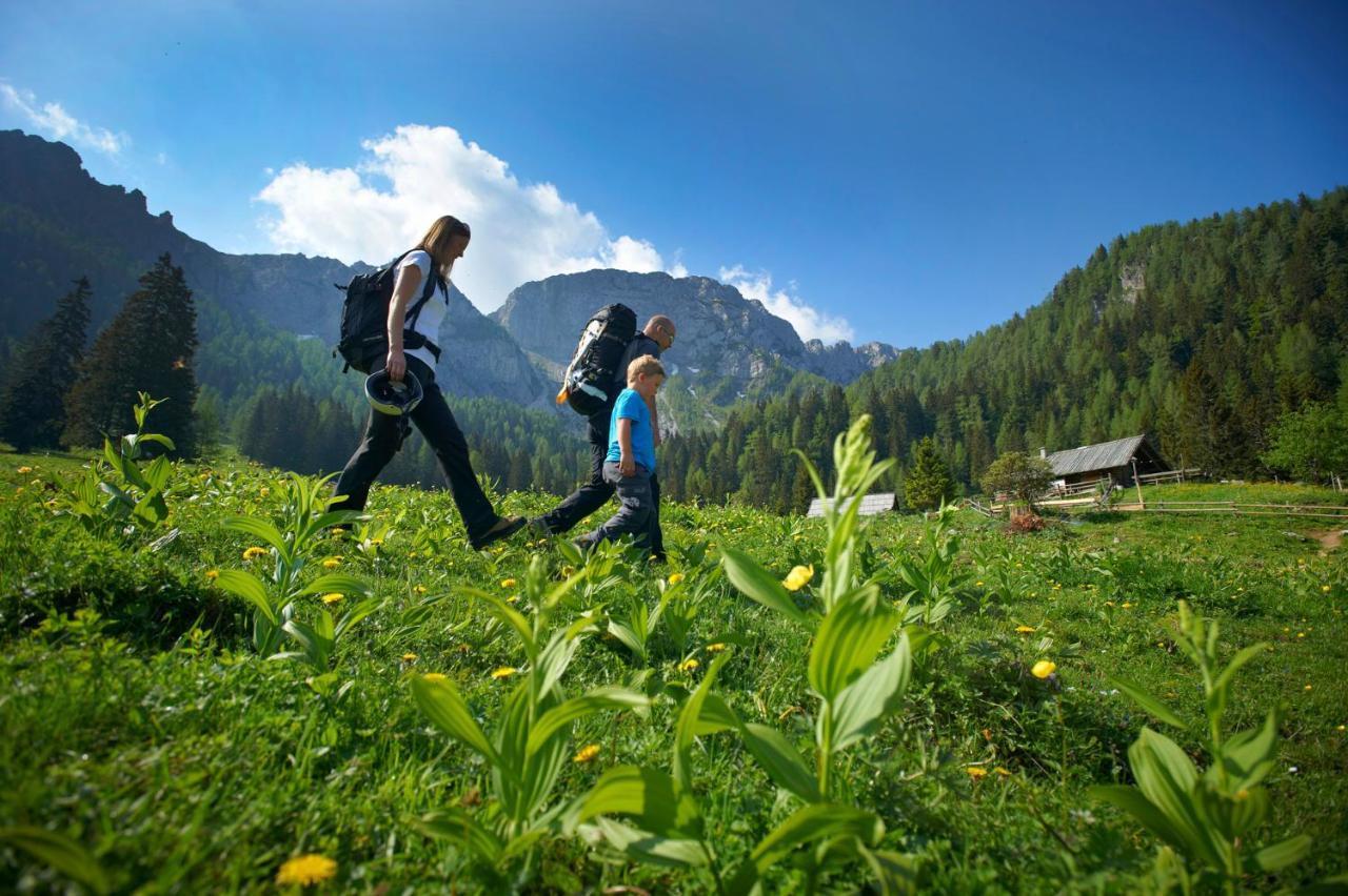 Bikeski Family Hotel, B&B, Apartaments, Rooms Mezica 외부 사진