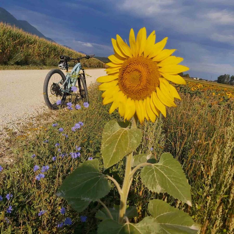 Bikeski Family Hotel, B&B, Apartaments, Rooms Mezica 외부 사진